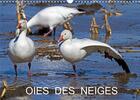 Couverture du livre « Oies des neiges calendrier mural 2020 din a3 horizontal - embleme du grand nord canadien » de Philippe Henry aux éditions Calvendo