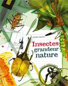 Couverture du livre « Insectes grandeur nature » de Valter Fogato aux éditions Rusti Kid