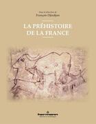 Couverture du livre « La préhistoire de la France » de Francois Djindjian aux éditions Hermann