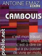 Couverture du livre « Cambouis » de Antoine Emaz aux éditions Publie.net
