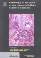 Couverture du livre « Pathologie du testicule et des organes genitaux externes masculins » de  aux éditions Elsevier-masson