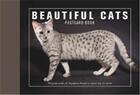 Couverture du livre « Beautiful Cats Postcard Book /Anglais » de Andrew Perris aux éditions Ivy Press