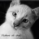 Couverture du livre « Histoire de chats calendrier mural 2018 300 300 mm square - photos de chats tous plus craq » de Photos Y aux éditions Calvendo