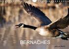 Couverture du livre « Bernaches calendrier mural 2018 din a4 horizontal - les quatre saisons de la berna » de Henry P aux éditions Calvendo