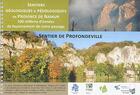 Couverture du livre « Sentiers géologiques & pédologiques en province de Namur : 500 millions d'années de façonnement de notre paysage ; sentiers de Profondville » de Vincent Hallet aux éditions Pu De Namur