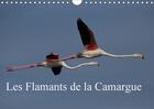 Couverture du livre « Les flamants de la camargue calendrier mural 2018 din a4 hor - scenes de la vie d une espece » de Pirsch P aux éditions Calvendo