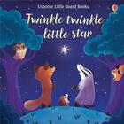 Couverture du livre « Twinkle twinkle little star » de Punter/Gibson aux éditions Usborne