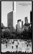 Couverture du livre « Jeff Liao ; Central Park New York » de  aux éditions Nazraeli