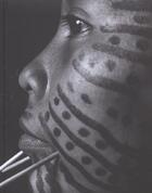 Couverture du livre « Yanomami, l'esprit de la foret » de Kopenawa/Albert B. aux éditions Fondation Cartier