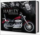 Couverture du livre « Le livre d'or Harley Davidson » de Peter Henshaw aux éditions De Lodi