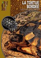 Couverture du livre « La tortue bordée ; testudo marginata » de Mario Herz aux éditions Animalia