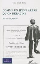 Couverture du livre « Comme un jeune arbre qu'on déracine ; ma vie de pupille » de Jean-Claude Trabuc aux éditions Editions L'harmattan