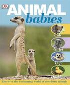 Couverture du livre « Animal babies » de  aux éditions Dk Children