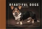 Couverture du livre « Beautiful Dogs Postcard Book /Anglais » de Andrew Perris aux éditions Ivy Press