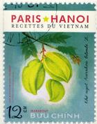 Couverture du livre « Paris Hanoï ; les recettes du Vietnam » de  aux éditions Marabout