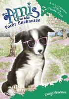 Couverture du livre « Mes amis de la forêt enchantée Tome 10 : la surprise d'Éva Truffe-Flair » de Daisy Meadows aux éditions Pocket Jeunesse
