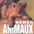 Couverture du livre « Bébés animaux » de Angela Serena Ildos aux éditions Grund