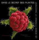 Couverture du livre « Dans le secret des plantes ; un monde étrange et fascinant » de Wolfgang Stuppy aux éditions Romain Pages