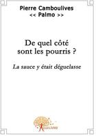 Couverture du livre « De quel côté sont les pourris? » de Pierre Camboulives aux éditions Edilivre