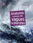 Couverture du livre « Anatomie curieuse des vagues scélérates » de Michel Olagnon aux éditions Quae