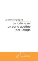 Couverture du livre « La fortune sur un banc » de David-J aux éditions Editions Le Manuscrit