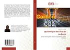 Couverture du livre « Dynamique des flux de carbone » de Evariste Ago Expedit aux éditions Editions Universitaires Europeennes