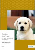 Couverture du livre « Paroles de chien » de Jean-Pierre Fetis aux éditions Nombre 7