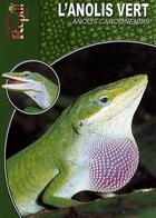 Couverture du livre « L'anolis vert - Anolis Carolinensis » de Rauh Jens aux éditions Animalia