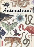 Couverture du livre « Animalium » de Jenny Broom et Katie Scott aux éditions Autrement