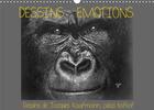 Couverture du livre « DESSINS-EMOTIONS (édition 2020) » de Kofkof K.A. aux éditions Calvendo