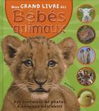 Couverture du livre « Mon grand livre des bebes animaux » de  aux éditions Piccolia