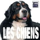 Couverture du livre « Les chiens » de Vito Buono aux éditions White Star