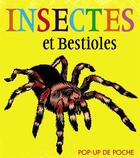 Couverture du livre « Insectes & bestioles » de Kja Artists aux éditions Casterman