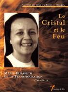Couverture du livre « Le cristal et le feu » de  aux éditions Carmel