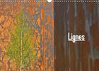 Couverture du livre « Lignes (Calendrier mural 2020 DIN A3 horizontal) ; Architecture contemporaine (Calendrier mensuel, 14 Pages ) » de Patrice Thebault aux éditions Calvendo