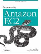 Couverture du livre « Programming Amazon EC2 » de Flavia Paganelli et Jurg Van Vliet aux éditions O Reilly