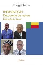 Couverture du livre « Indexation : decouverte de metiers, exemple du benin » de Chekpo Edwige aux éditions Edilivre