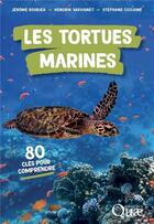 Couverture du livre « Les tortues marines : 80 clés pour comprendre » de Jerome Bourjea et Hendrik Sauvignet et Stephane Ciccione aux éditions Quae