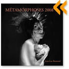 Couverture du livre « Métamorphoses 2008 » de Jean-Luc Ramond aux éditions N Et B Editions