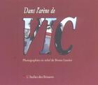 Couverture du livre « Dans l'arene de vic » de Bruno Lasnier aux éditions Atelier Des Brisants