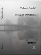 Couverture du livre « Brume » de Thibaud Cavalie aux éditions Le Lys Bleu