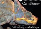 Couverture du livre « Cameleons petits dragons d afrique calendrier mural 2018 din - douze portraits extraordinaire » de Hellier C aux éditions Calvendo