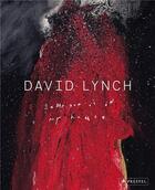 Couverture du livre « David lynch someone is in my house » de Kristine Mckenna/Sti aux éditions Prestel