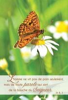 Couverture du livre « Lot de 20 - carte simple photo nature l'homme ne vit pas de pain seulement - vendu par lot de 20 exe » de  aux éditions Prouvost