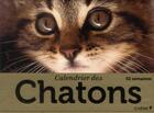 Couverture du livre « Calendrier des chatons » de  aux éditions Chene