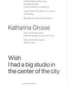 Couverture du livre « Katharina grosse wish i had a big studio in the center of the city » de Katharina Grosse aux éditions Lars Muller