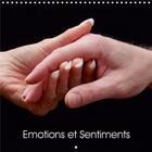 Couverture du livre « Emotions et sentiments calendrier mural 2020 300 300 mm square - serie d images de mains relata » de Bombaert Patric aux éditions Calvendo