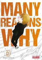 Couverture du livre « Many reasons why Tome 3 » de Toutarou Minami aux éditions Omake Books