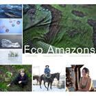 Couverture du livre « Eco amazons » de Dorka Keehn et Colin Finlay aux éditions Powerhouse