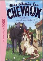 Couverture du livre « Mes amis les chevaux Tome 13 : Moustique a mal aux dents » de Sophie Thalmann aux éditions Hachette Jeunesse